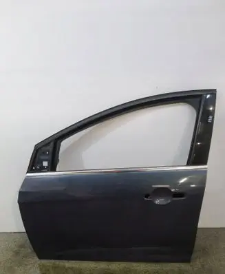 Ford Focus Front door 