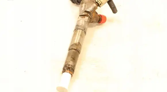Renault Kangoo II Fuel injector