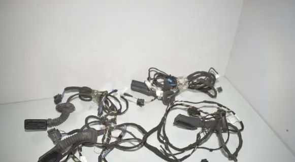 BMW 2 F45 Front door wiring loom 8797519 8797487 8805439