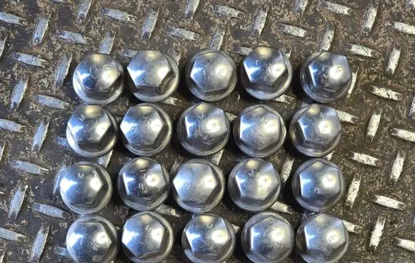 Dodge Challenger Nuts/bolts 