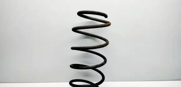 Front coil spring