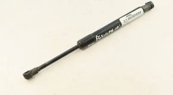 BMW M6 Tailgate/trunk strut/damper 7057340 51247057340