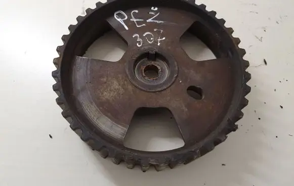 Peugeot 307 Crankshaft gear 