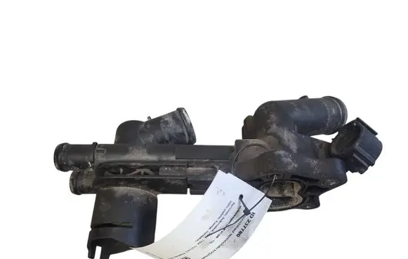 Thermostat/thermostat housing