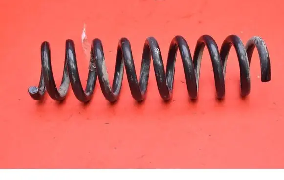 Rear coil spring