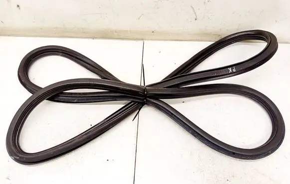 Opel Zafira B Rubber seal front coupe door 13224480