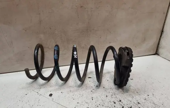 Rear coil spring