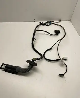 Front door wiring loom
