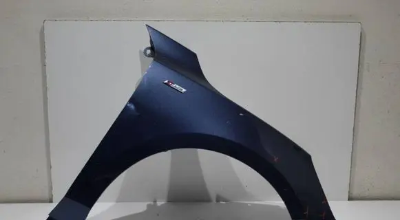 Ford Focus Fender