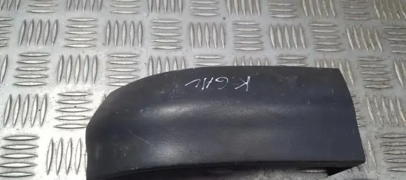 Rear/tail light trim molding