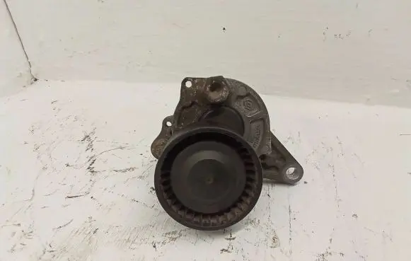 Nissan Qashqai+2 Alternator belt tensioner 117505337R