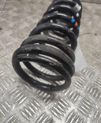 Rear coil spring