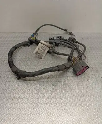 Other wiring loom