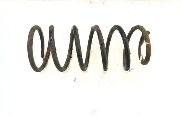 Rear coil spring