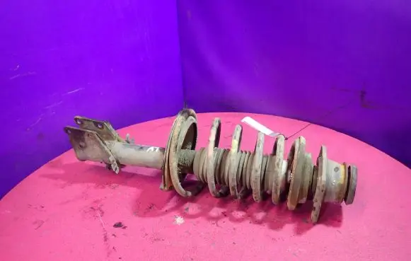Fiat Doblo Front shock absorber with coil spring