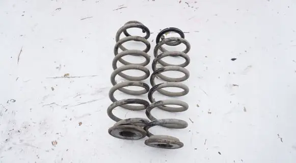 Rear coil spring
