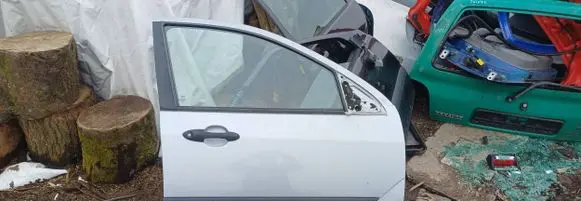 Ford Focus Front door