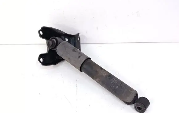 Chrysler Town & Country V Rear shock absorber/damper