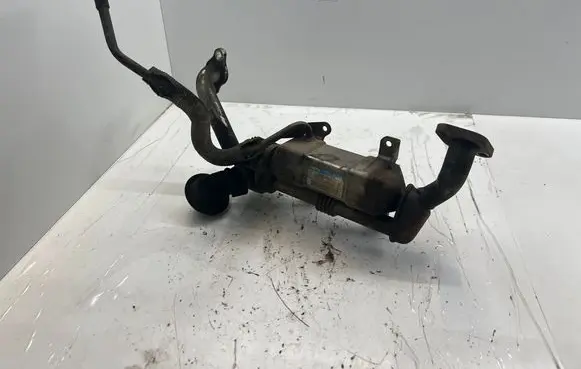 Toyota RAV 4 (XA30) EGR valve cooler 2568026021 13064060001B