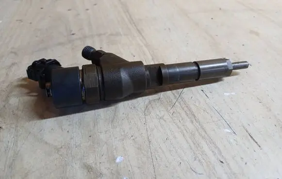Peugeot 307 Fuel injector 0445110076