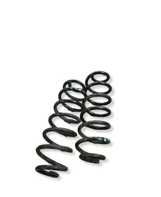 Audi Q5 SQ5 Rear coil spring 