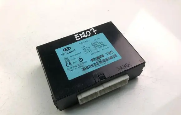 Hyundai Getz Other control units/modules 954001C301