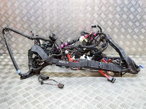 Tesla Model 3 Other wiring loom 256796407B 101558500A