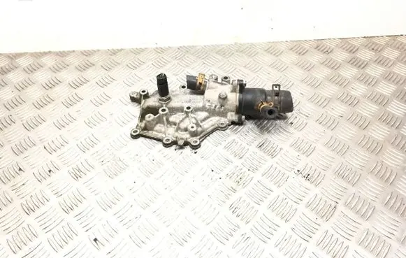 Thermostat/thermostat housing