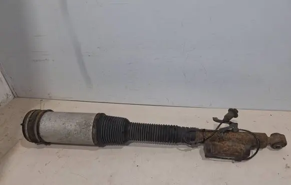 Mercedes-Benz S W220 Air suspension rear shock absorber C086054 010119025556