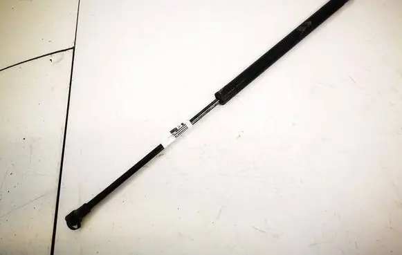 Tailgate/trunk strut/damper