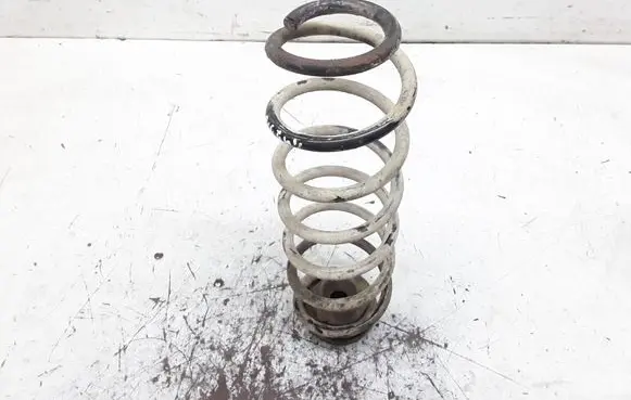 Seat Ibiza III (6L) Rear coil spring