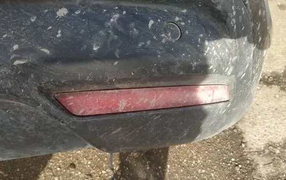 Citroen C5 Rear tail light reflector 