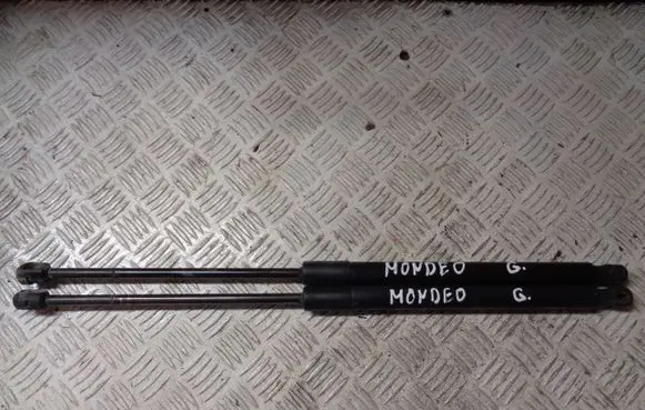 Tailgate/trunk strut/damper