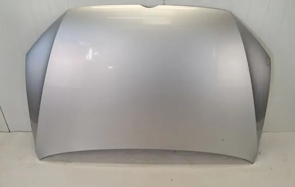 Volkswagen Golf Sportsvan Engine bonnet/hood 
