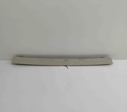 Tesla Model X Rear door card panel trim 105501800B