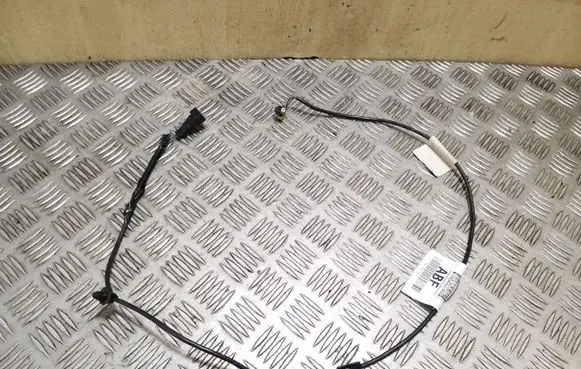 Ford Focus Other wiring loom BV6T14K155ABF