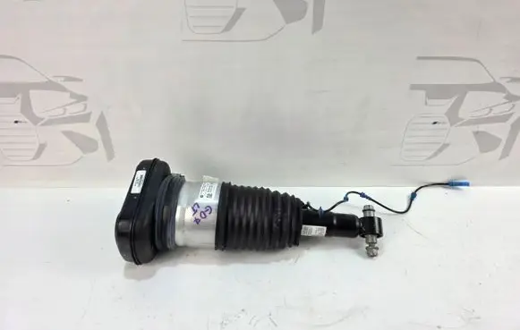 BMW X7 G07 Rear shock absorber/damper 6869039