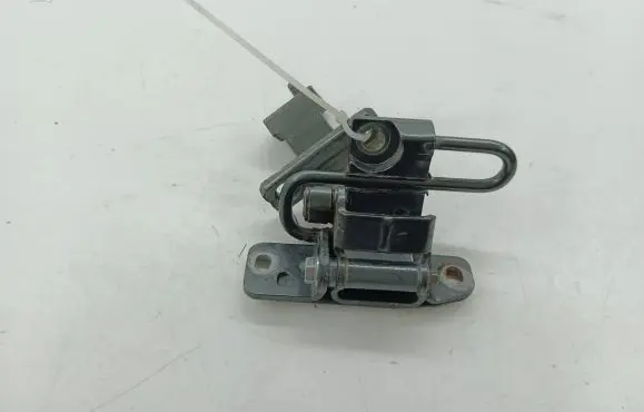 Bentley Flying Spur Rear door hinge set 
