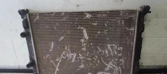 Renault Scenic II - Grand scenic II Coolant radiator 8200117609