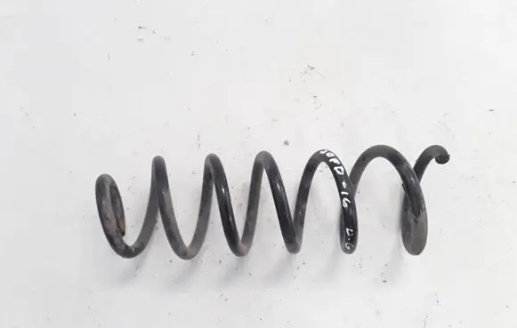 Rear coil spring