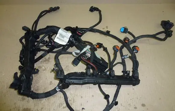 Citroen Berlingo Wiring harness 9848660880-T-SD
