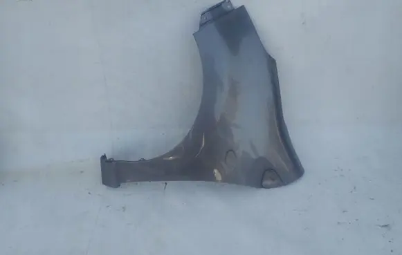 Suzuki Alto Fender