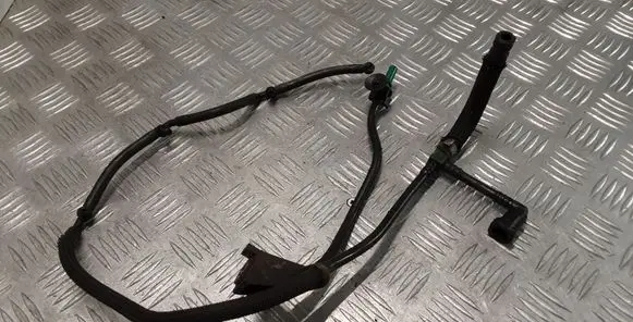 Citroen Xsara Picasso Fuel return line/hose 