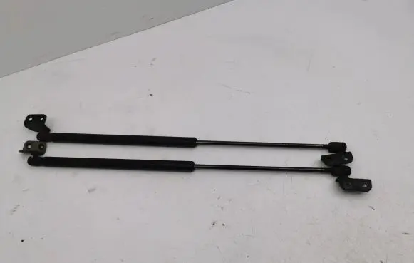 KIA Sorento Tailgate/trunk strut/damper 811813E011