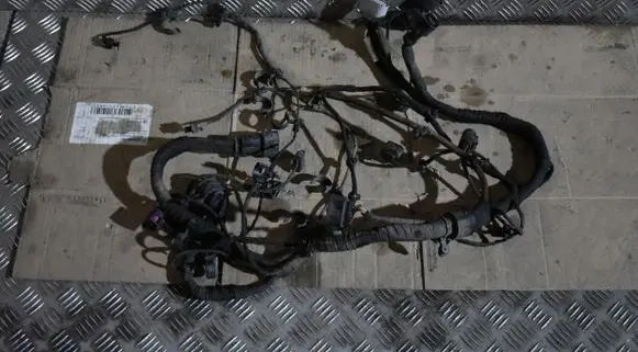 Porsche Taycan 9J1 Wiring harness 
