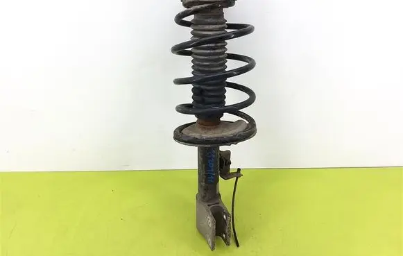 Peugeot 307 Front shock absorber with coil spring