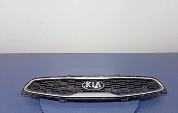 Front grill