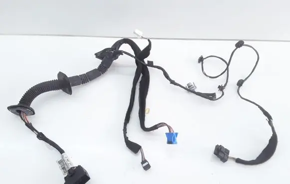 Front door wiring loom
