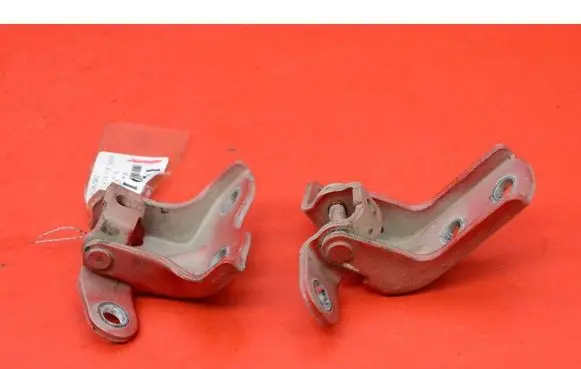 KIA Rio Front door hinge set
