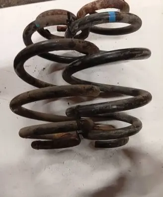Rear coil spring